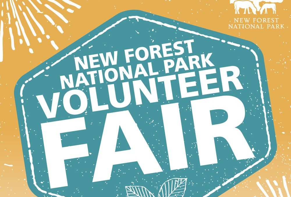 New Forest National Park Volunteer Recruitment Fair
