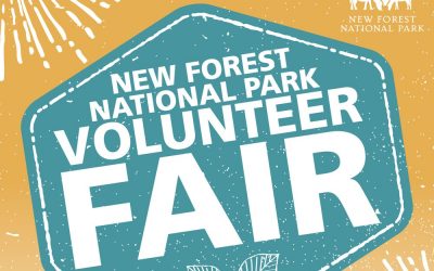 New Forest National Park Volunteer Recruitment Fair
