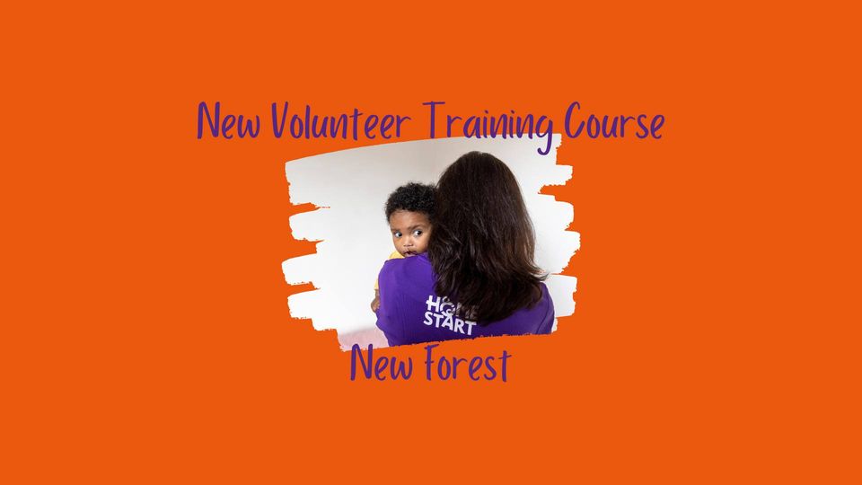 Volunteer in the New Forest!